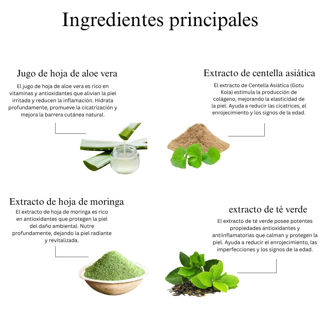 Gel facial reafirmante y estimulante del colágeno con cicatrices, aloe vera, té verde y moringa
